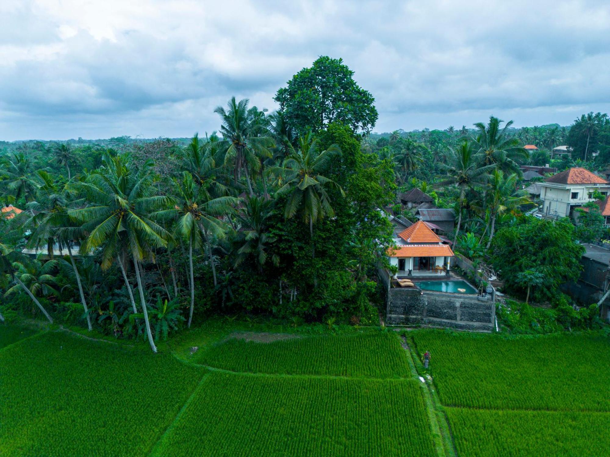 Jatining Ubud Villa & Spa Kültér fotó