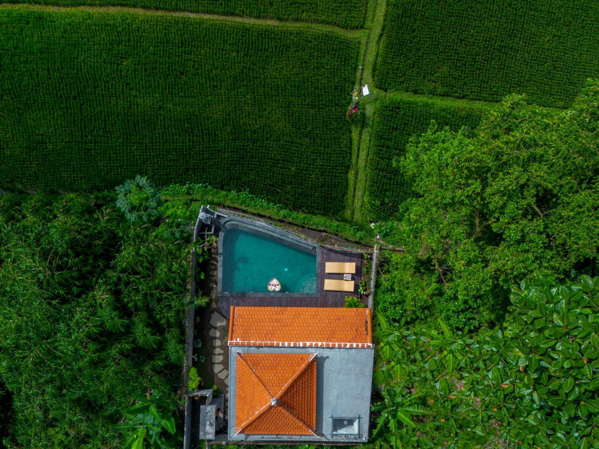 Jatining Ubud Villa & Spa Kültér fotó
